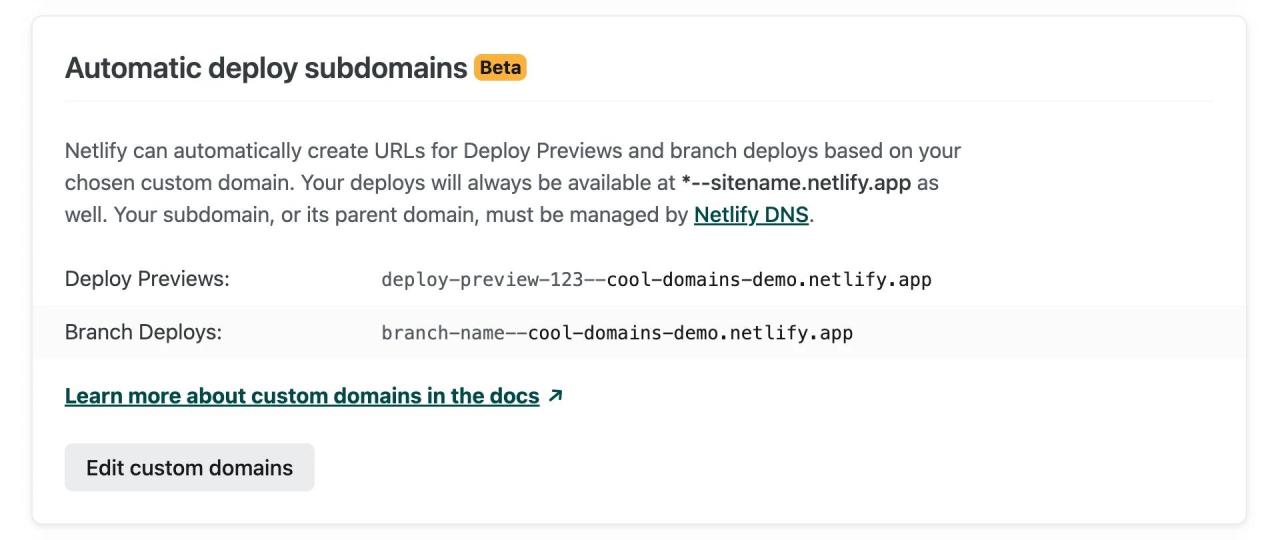 How to set a custom domain for Deploy Previews