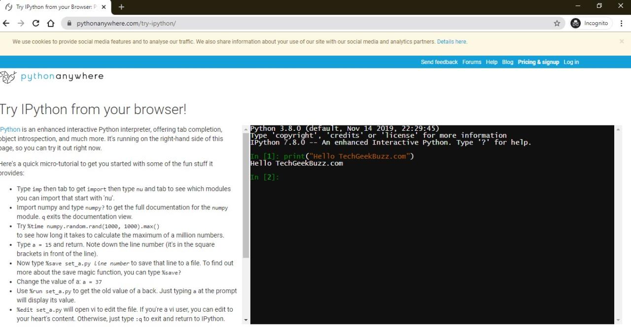 Can I Learn Python Without Knowing Programming?