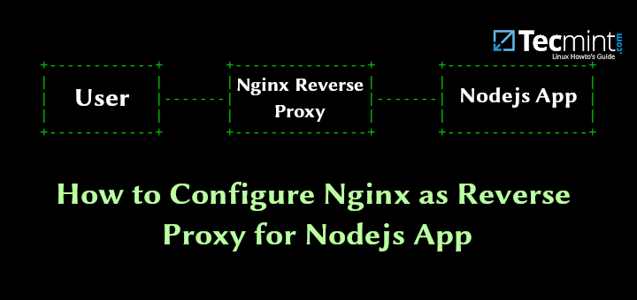 How to Configure Nginx as Reverse Proxy for Nodejs App