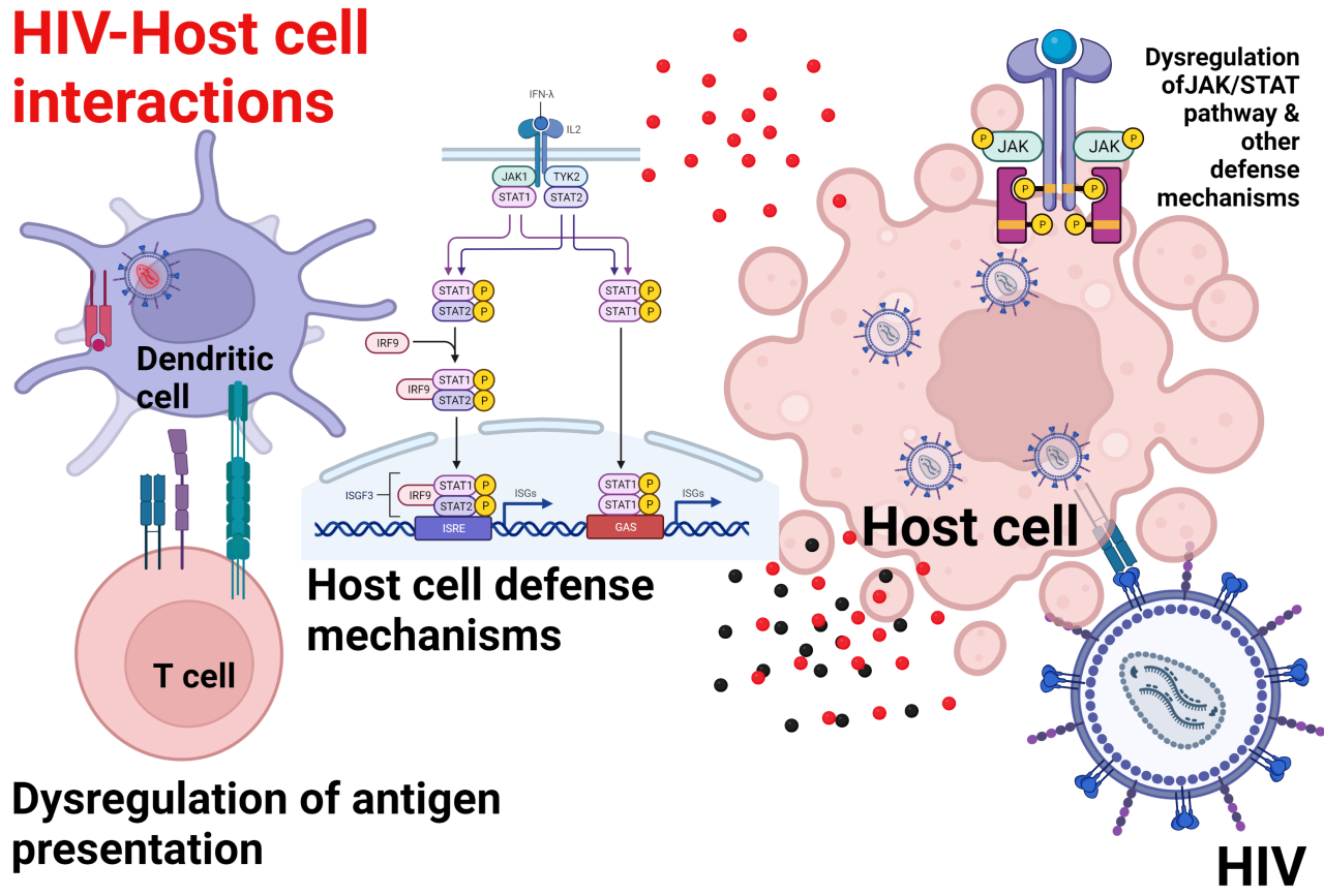 HIV–Host Cell Interactions